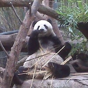 Meet your Posher, Mand